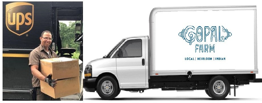 Shipping & Delivery