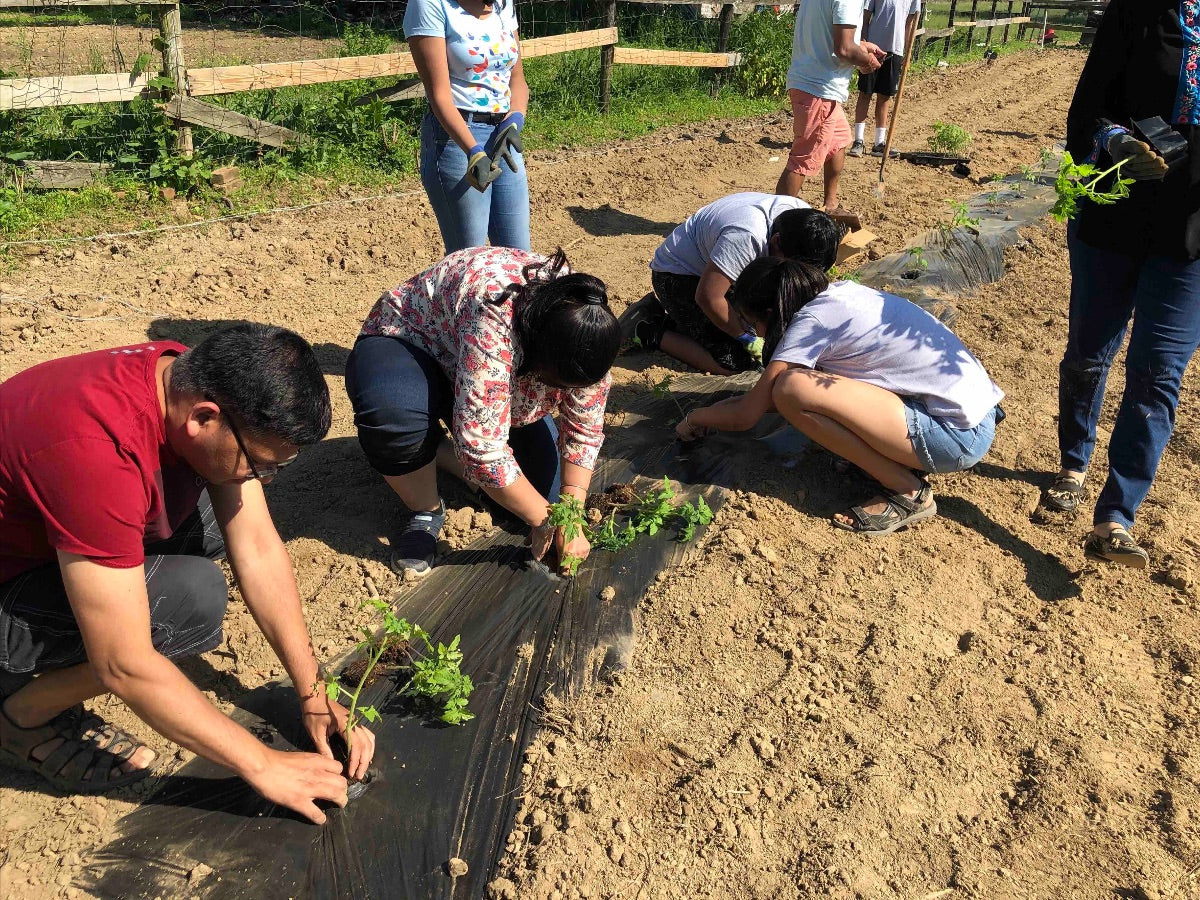 Newsletter May 31st, 2019