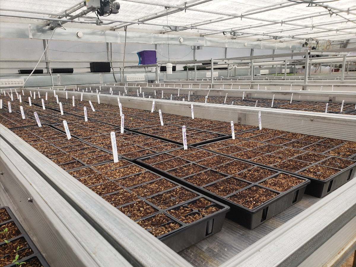 Newsletter Apr 27, 2019