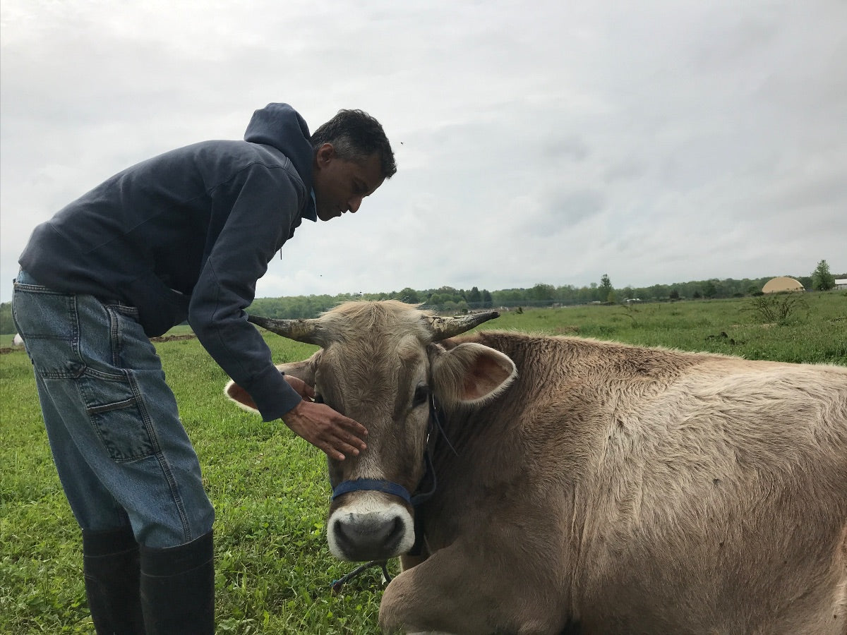 Newsletter May 3, 2019