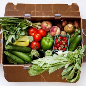 Indian Farm Box - Weekly one time purchase