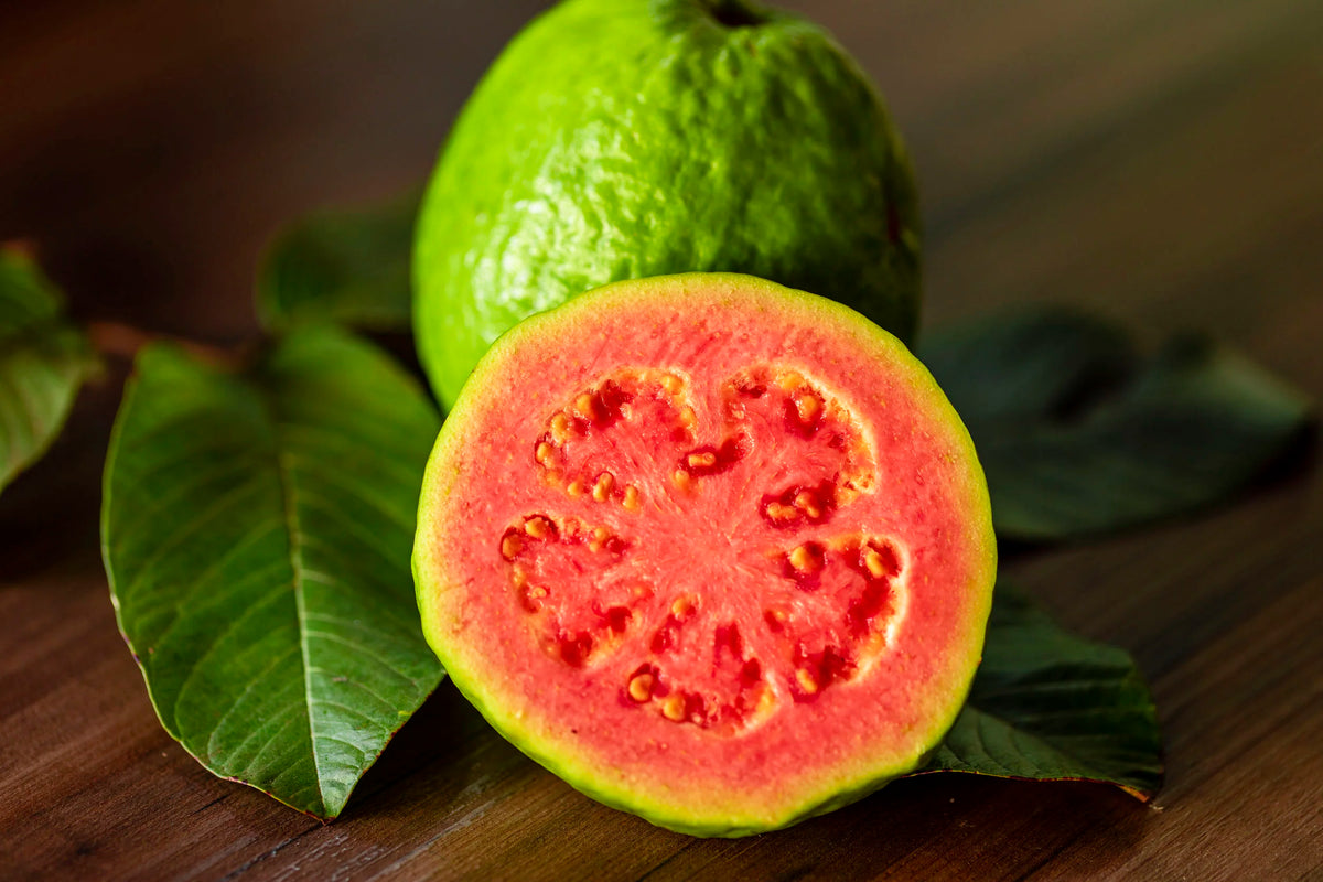 Guava Pink / Watermelon