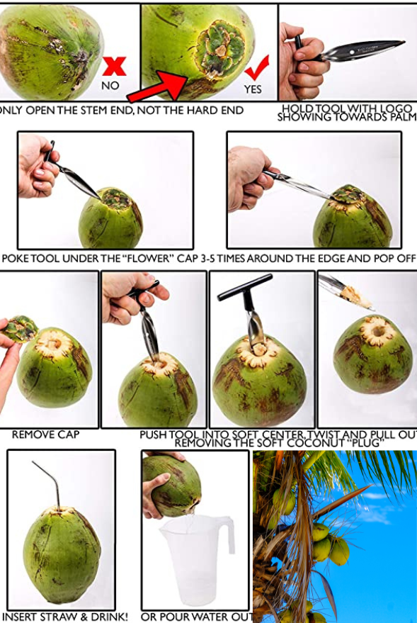 USA Juicing Coconuts – Organic (Water &amp; Meat)
